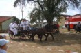 /album/a90-vyroci-sdh-sudice-18-8-2018/dsc07757-jpg/