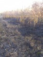 /album/pozar-4-3-2019/a20190305-072417-jpg/